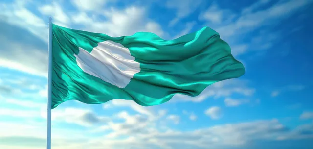 Algerian flag waving outdoors against a blue sky with soft natural light