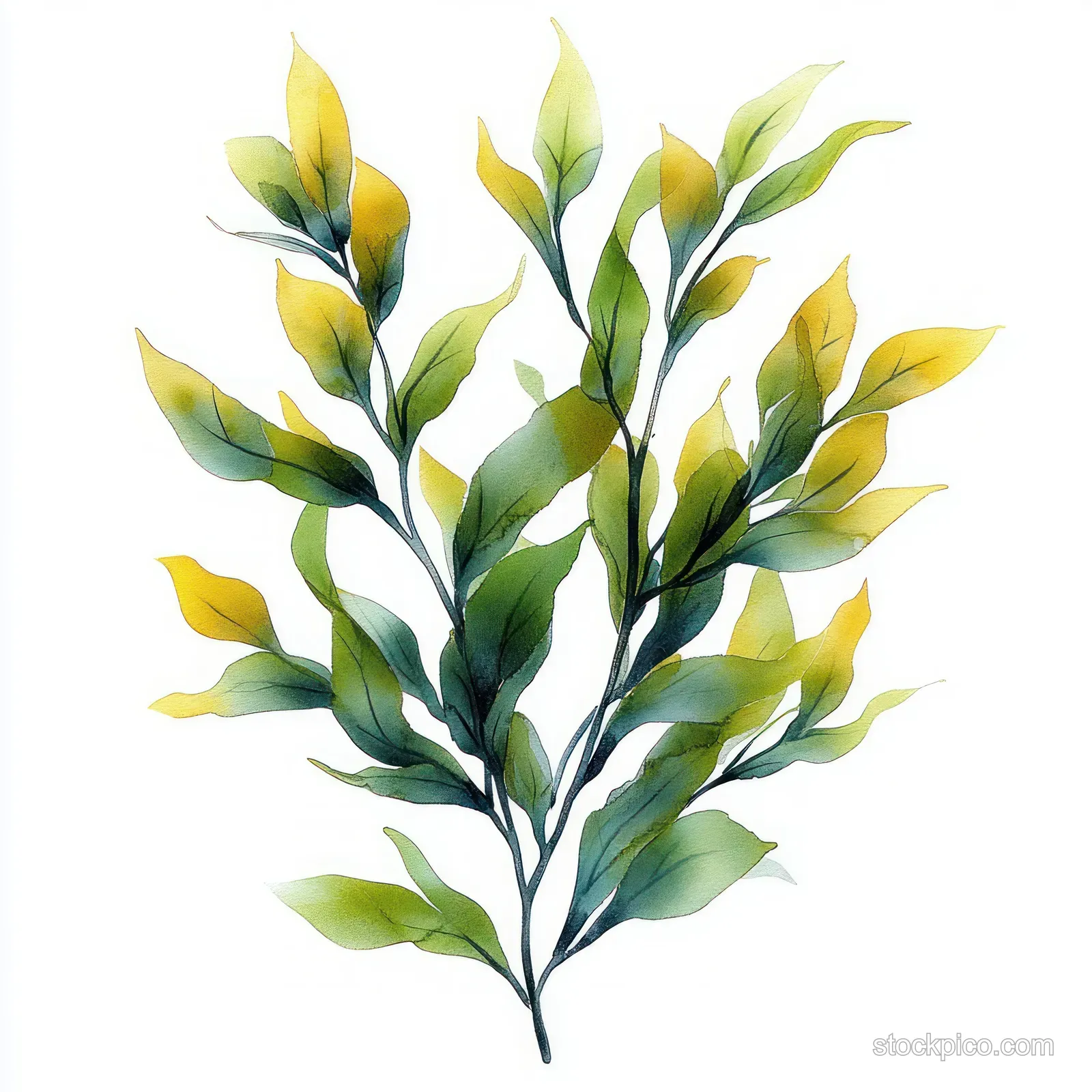 Watercolor sprig with green and yellow leaves on slender stems shown against a clean white background.