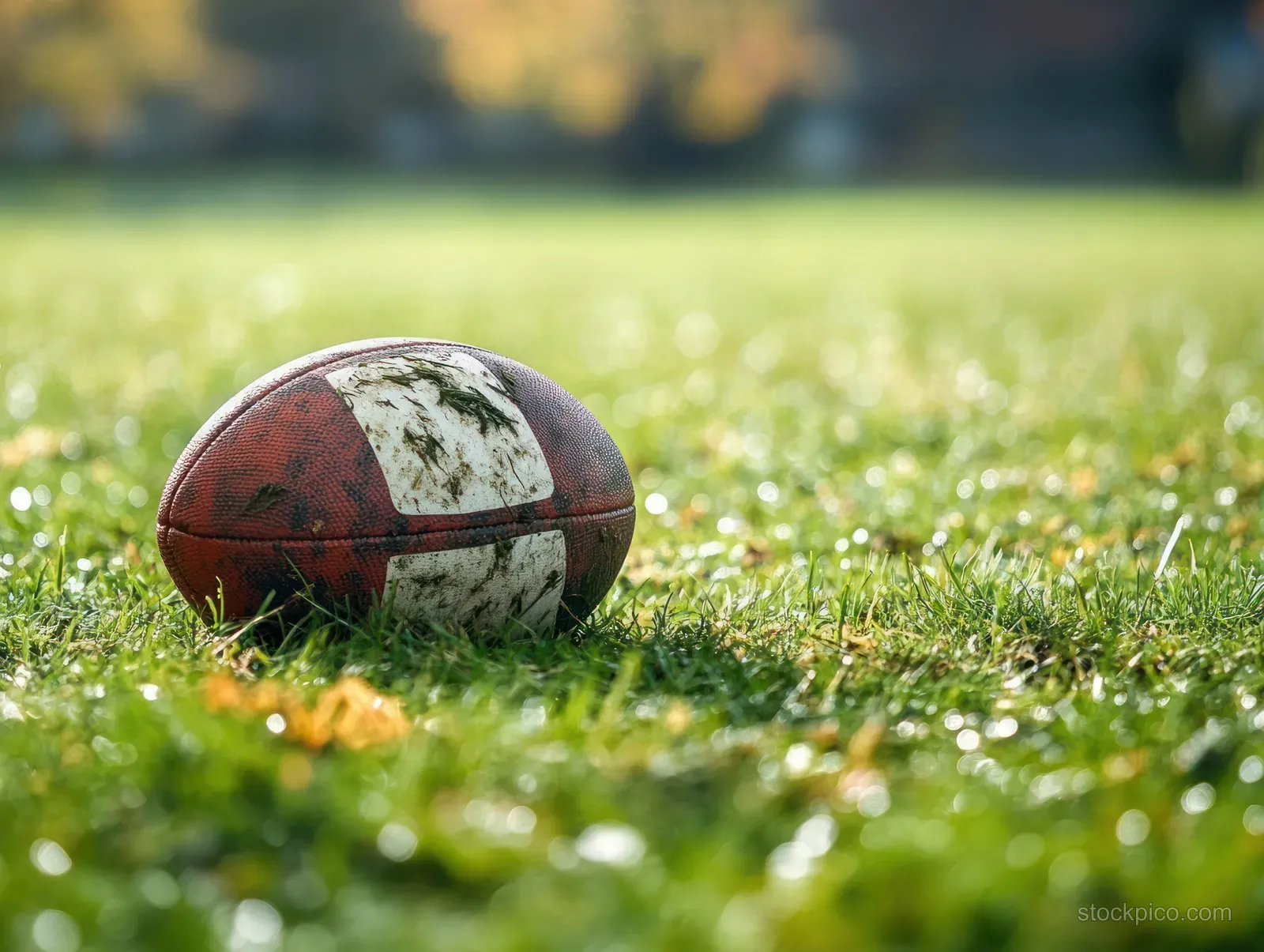 A worn rugby ball with mud rests on a sunlit grass field while the background blurs.