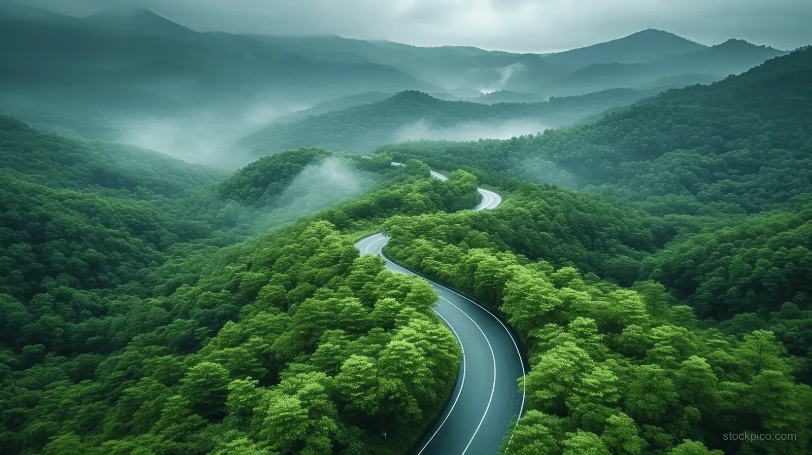 Curved road winds through dense green forest on a misty mountainside from an aerial drone perspective.