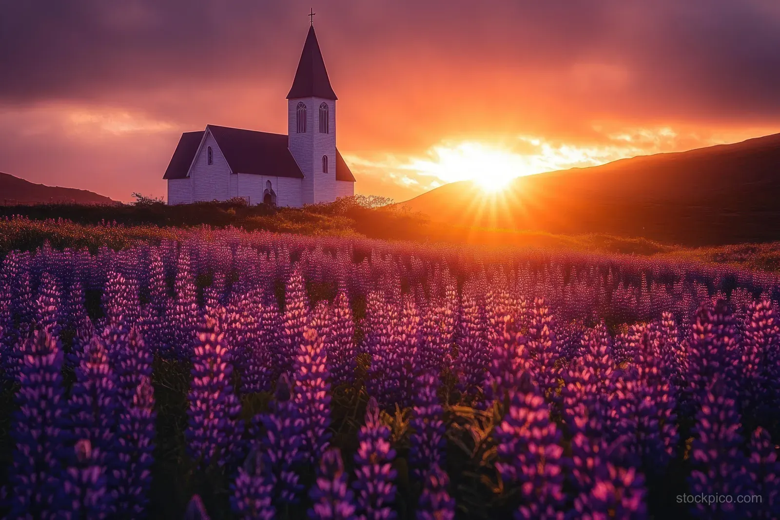 White church with a cross stands in a field of purple flowers under a vibrant sunset sky.