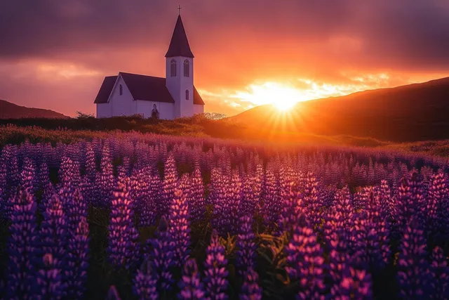 White church with a cross stands in a field of purple flowers under a vibrant sunset sky.