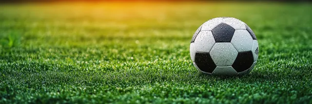 Soccer ball resting on green grass with dew and soft natural light near goal