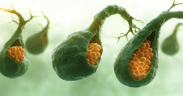 Green vesicles filled with orange spheres connected by thin branches float in a soft green background.