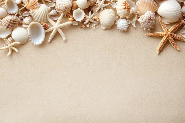 White and beige seashells and starfish scattered on sandy beach in a top-down coastal texture background.