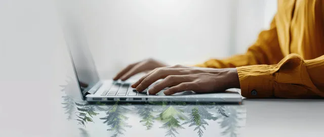 Hands typing on laptop keyboard at office desk with soft natural light