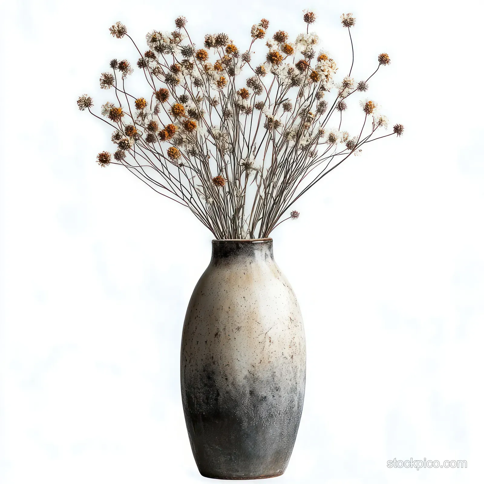 A rustic ceramic vase filled with thin dried branches and small withered flower heads on a white background.