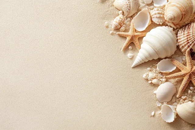 Seashells and starfish scattered on smooth sandy beach with open space for text.