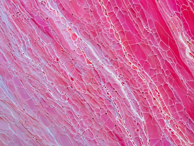 Close-up pink cracked layered surface with delicate white fracture lines and textured depth