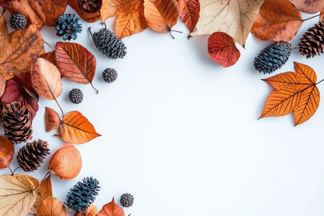 Autumn leaves and pine cones scattered in a flat lay on a clean white background.