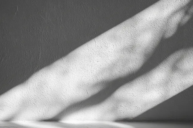 Tree-branch shadows stretch across a textured white wall, forming an abstract pattern in soft daylight.