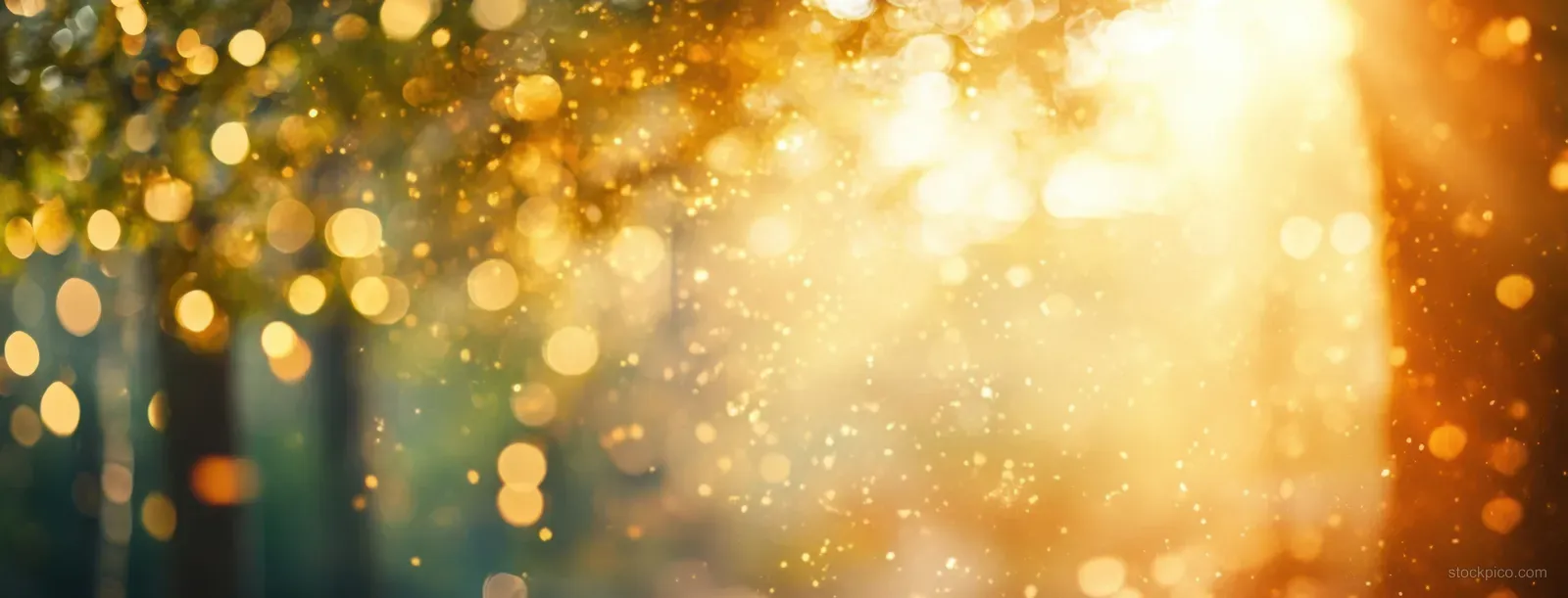 Golden sunlight streams through a blurred forest with warm glowing bokeh and sparkling dust particles in the haze.