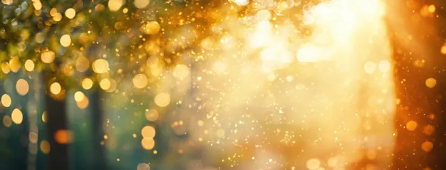 Golden sunlight streams through a blurred forest, glowing bokeh and sparkling dust in warm haze