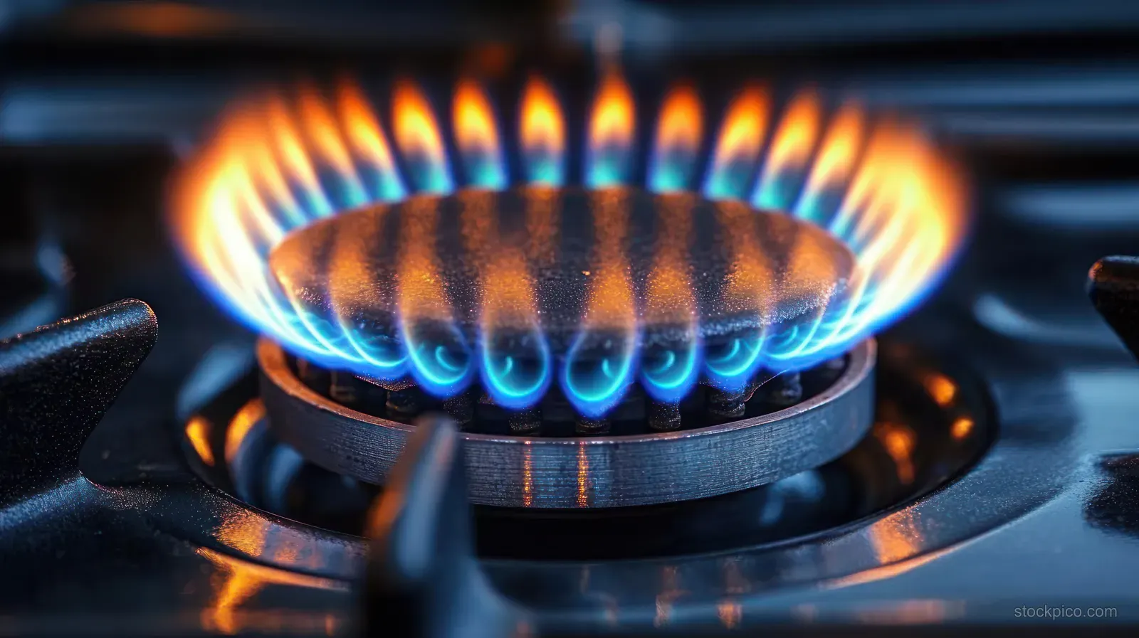 Blue and orange gas flames burn steadily on a metal stove burner ring, filling the frame with fire color.