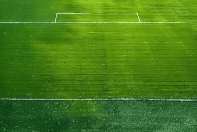 An empty green soccer field with white boundary and midfield lines visible.