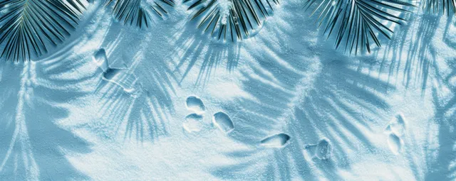 Overhead view of white sand with palm leaf shadows and clear blue water ripples.