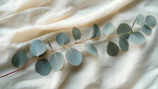 Eucalyptus branch with bluish-green oval leaves resting on wrinkled white textured fabric.