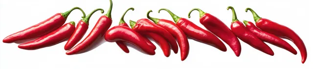 A row of glossy red chili peppers with green stems arranged side by side on a white background.