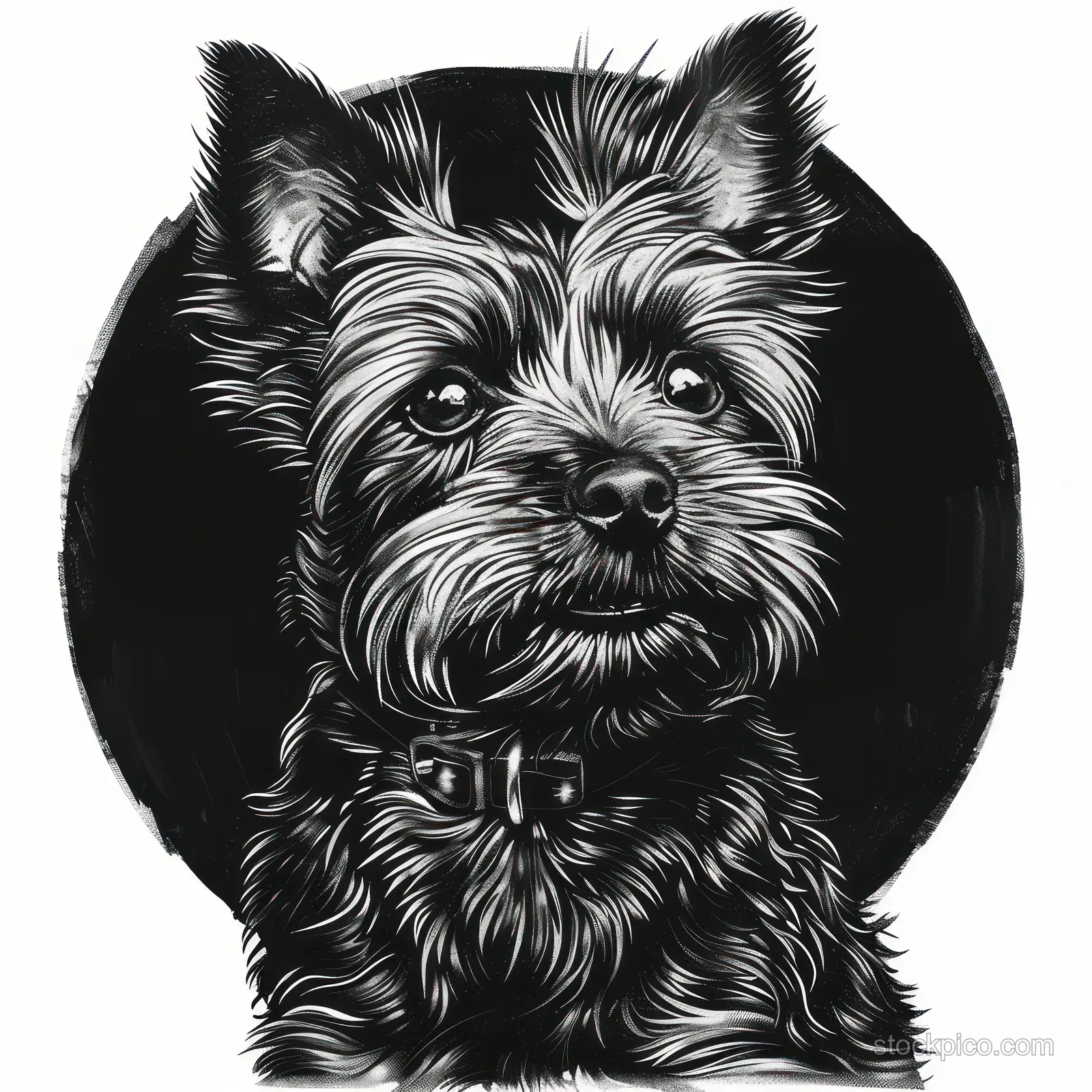 A black and white fluffy small dog looks slightly upward against a dark circular background.