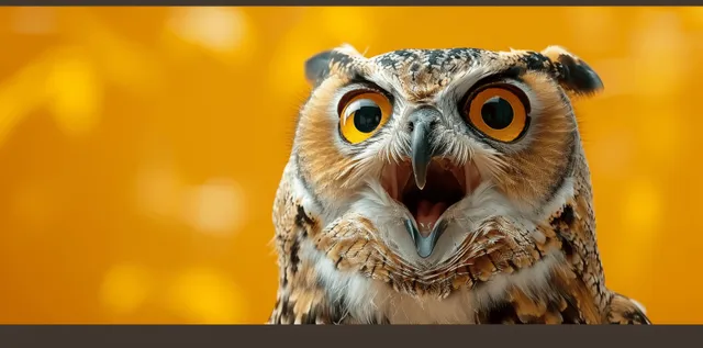 Surprised owl with large round eyes and open beak facing camera against a warm yellow background with space on the right.