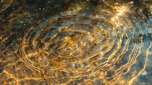 Golden sunlight reflects on calm river water, forming concentric ripples over a textured rocky riverbed.