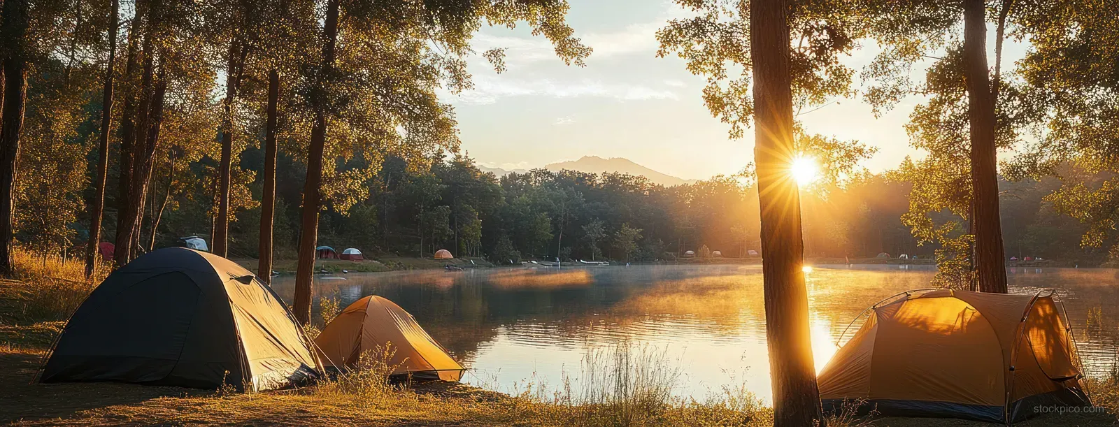 Camping tents along a quiet lake in a pine forest with golden-hour sunlight reflecting on the water.