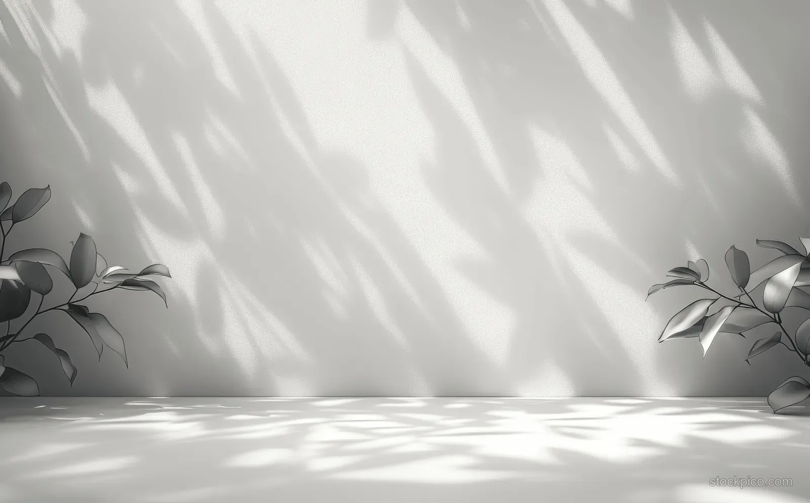 Sunlight casts dappled leaf shadows across a white wall and floor with branch silhouettes at the edges.