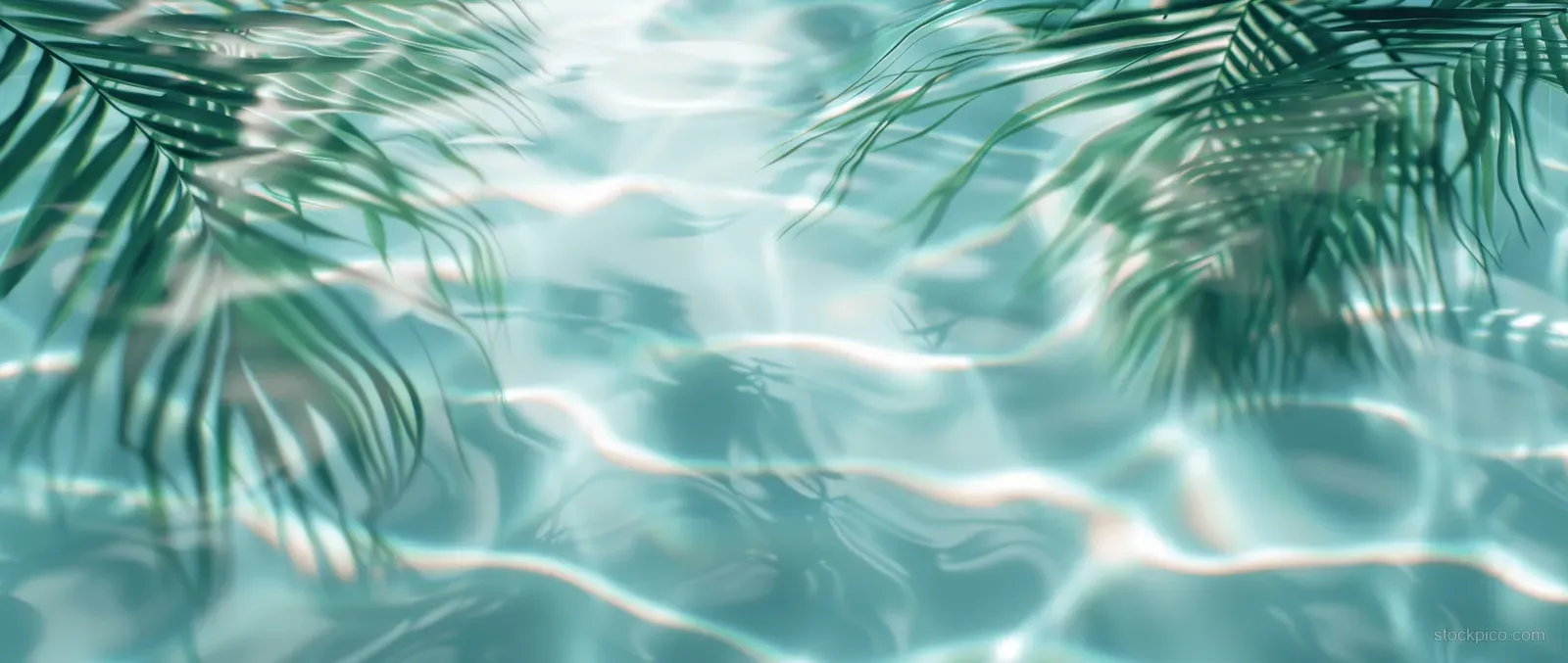 Palm leaf shadows fall across clear turquoise water and white sand from an overhead view.