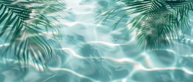 Palm leaf shadows fall across clear turquoise water and white sand from an overhead view.