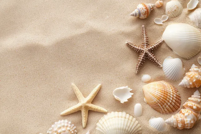 Seashells and starfish lie scattered on golden sand in a top-view beach background.