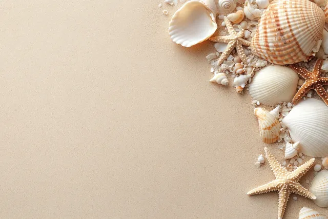 Top view of sandy beach with seashells and a starfish clustered at the corner.