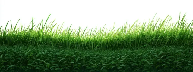 Top-down illustration of vivid green grass blades in a sunlit landscape with detailed texture.