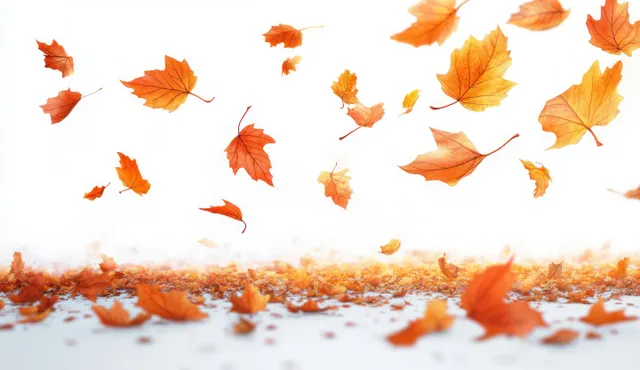 Orange and brown autumn leaves are scattered and falling on a white background.