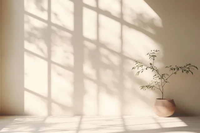 Peach beige minimalist studio interior with a small potted plant and soft window shadows on the floor.