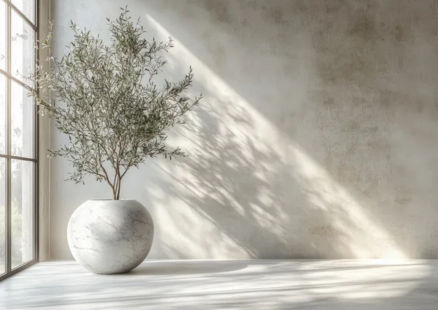 An olive tree in a white marble vase stands beside a window with bright sun shadows on a blank wall.