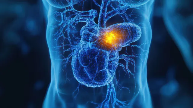 3D heart and glowing vascular inflammation within chest cavity cross-section