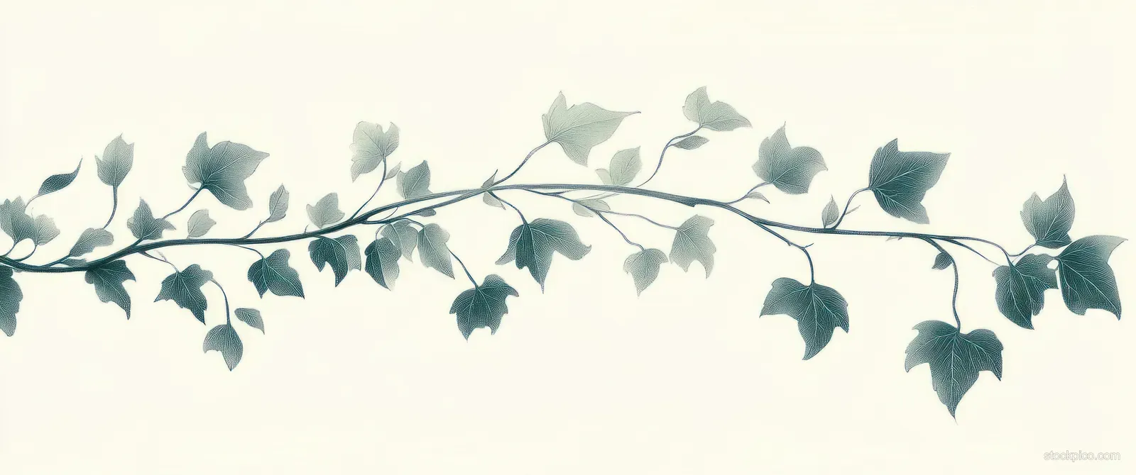 Sumi-e style ivy leaves and tendrils arch across a pale background, forming a light top border.