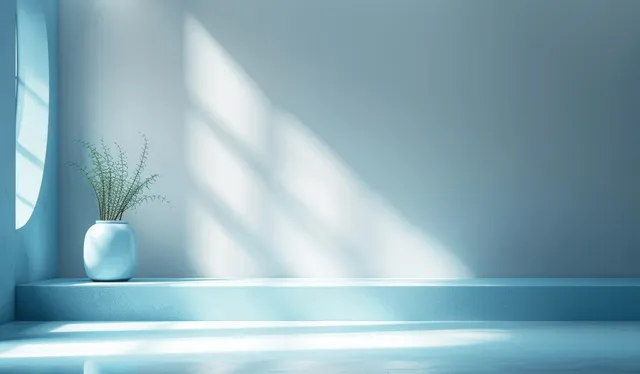 Light blue interior studio with window light stripes, soft floor shadow, and a small plant on the ledge.