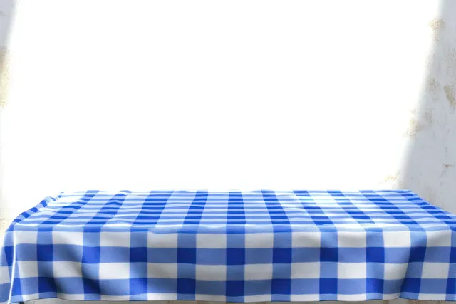 Empty table covered with a blue and white checkered cloth against a bright white wall with soft sunlight shadows.
