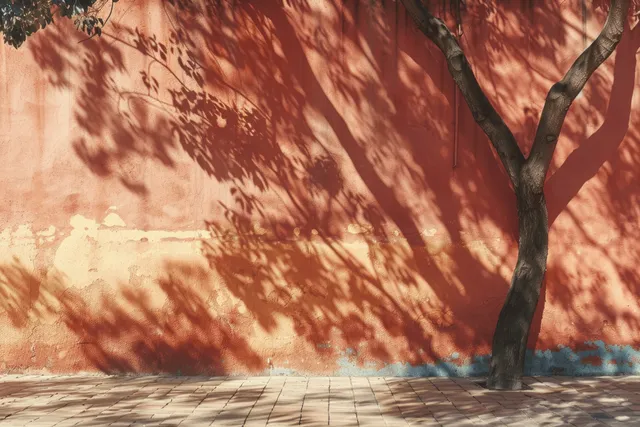 Terracotta wall with tree shadows beside a sunlit paved sidewalk.