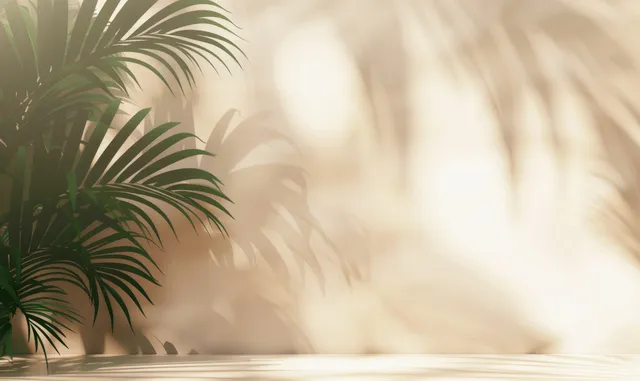 Soft palm leaf shadows on beige wall creating minimal copy space for product display