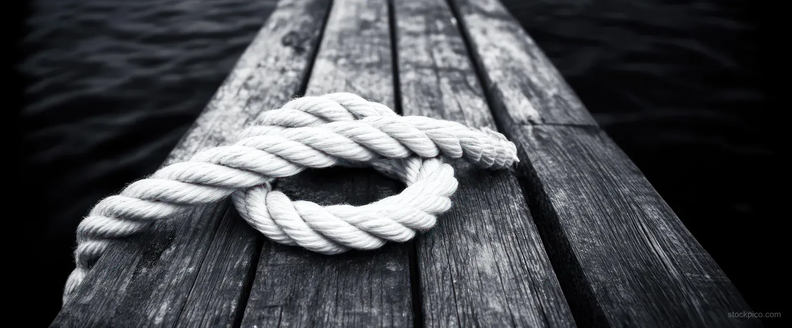White rope is tied in a knot to a wooden dock cleat with dark water visible beneath.