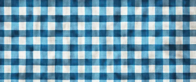 Blue and white checkered woven fabric laid flat with visible folds and soft shadows.