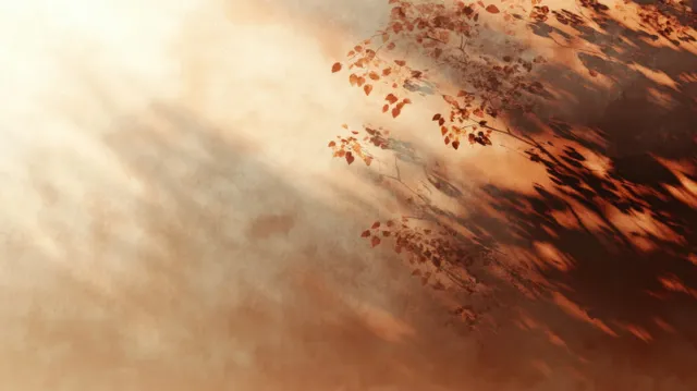 Soft autumn sunlight creates long leaf-shaped shadows on a textured surface with warm earth tones.
