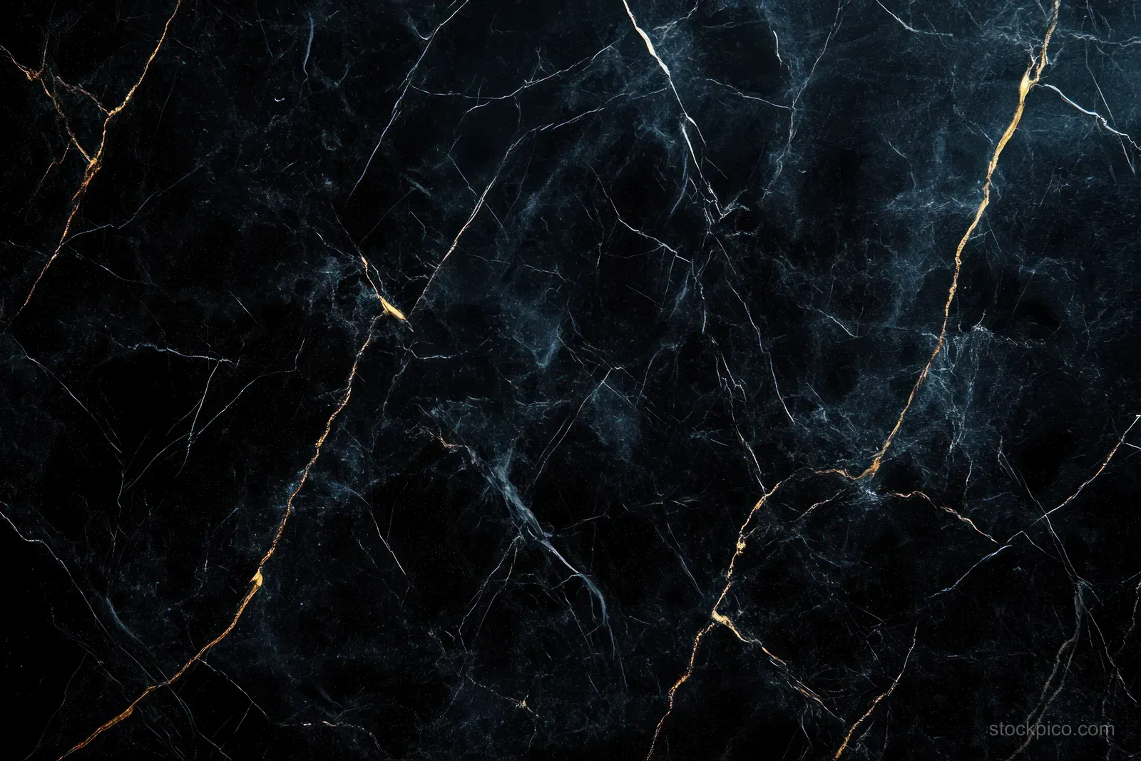 Polished black marble close-up with thin white and gold veins creating flowing natural patterns.