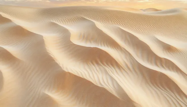 Aerial view of warm sand ripples forming rolling dunes with soft golden hour shadows.