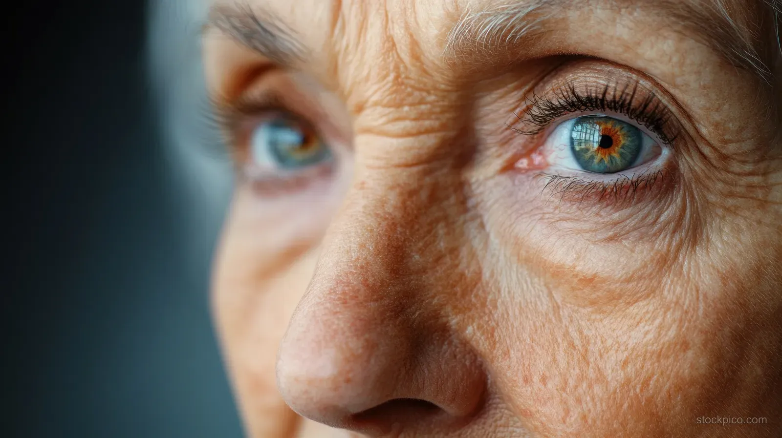 An elderly woman smiles in a close-up portrait, showing blue eyes and grey hair in soft light.