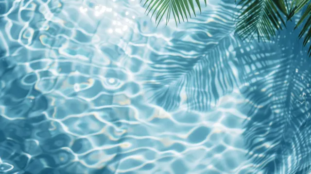 Palm leaf shadow ripples across sunlit blue pool water from above
