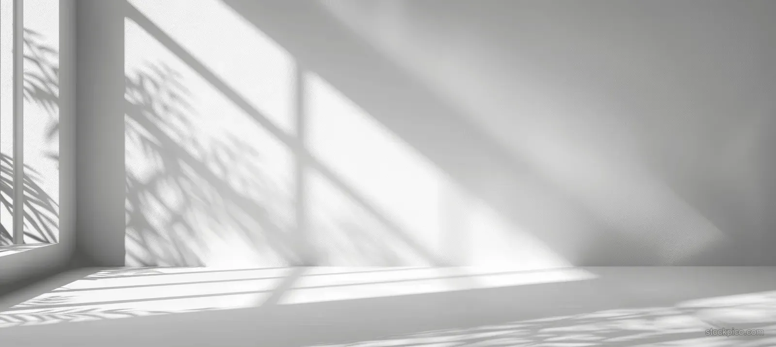 Sunlit white interior wall with soft window shadows and a faint plant silhouette in the corner.