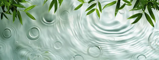 Green bamboo leaves over clear water ripples with sunlight glow, copy space